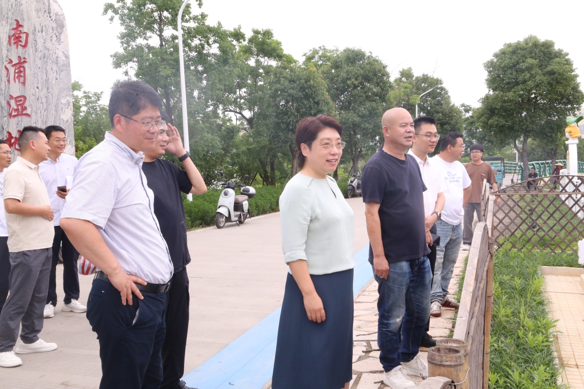網上賭博平台副市长、青龙浦市级河长杨玲玲开展巡河督导
