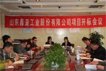 山东鑫亚工业股份有限公司项目