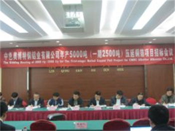 中色奥博特铜铝业有限公司项目