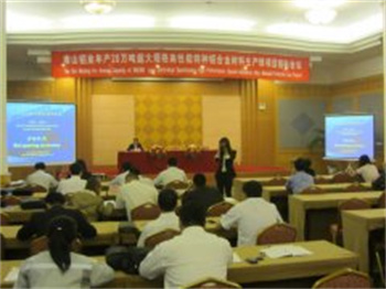 南山铝业年产20万吨超大规格高性